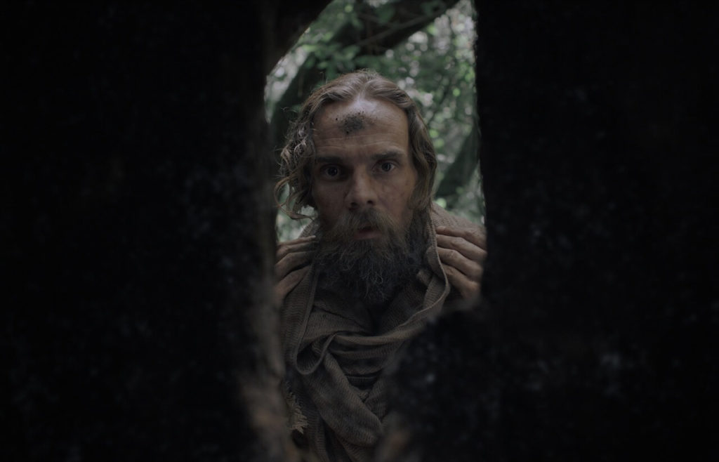 In the film Gaia, Barend looks deeply into the hole in the side of a tree